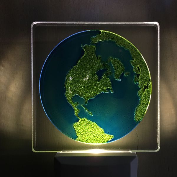 Planet earth light impression lamp